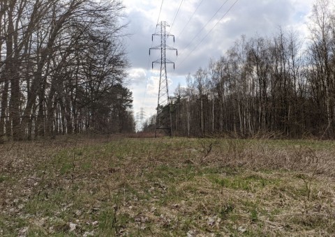 Water sampling – Olechów (EC4), Łódź