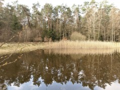 Dąbrowa area (commune Dłutów) – water sampling