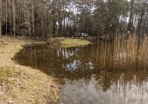 Water sampling – Dąbrowa area (commune Dłutów)