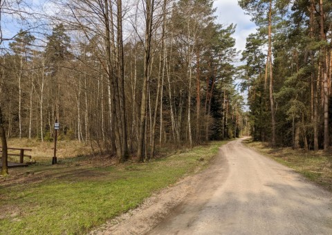 Water sampling – Dąbrowa area (commune Dłutów)