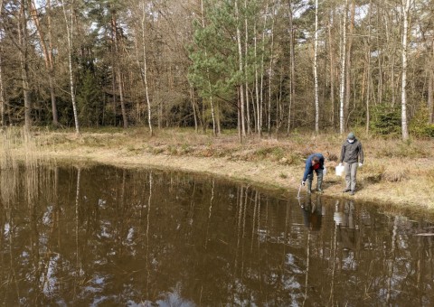 Water sampling – Dąbrowa area (commune Dłutów)