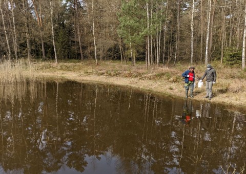 Water sampling – Dąbrowa area (commune Dłutów)