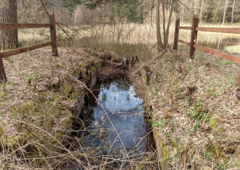 Water sampling – Dąbrowa area (commune Dłutów)