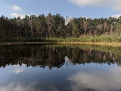 Chechło area (commune Dobroń) – water sampling