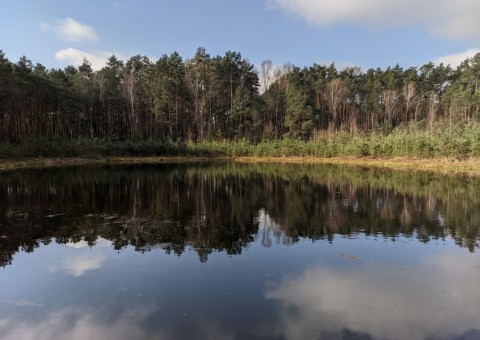 Water sampling – Chechło area (commune Dobroń)