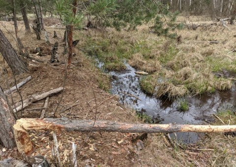 Water sampling – Wiśniowa Góra area (commune Andrespol)