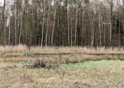 Water sampling – Wiśniowa Góra area (commune Andrespol)