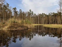 Wiączyń area (commune Nowosolna) – water sampling