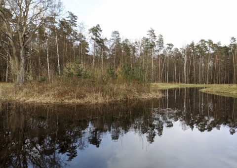 Water sampling – Wiączyń area (commune Nowosolna)