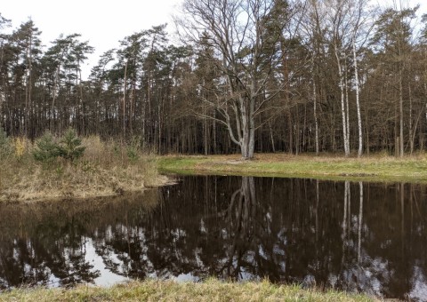 Water sampling – Wiączyń area (commune Nowosolna)