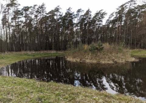 Water sampling – Wiączyń area (commune Nowosolna)