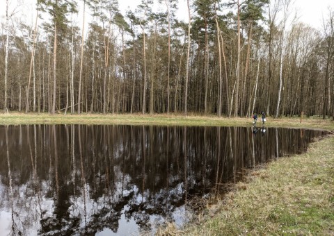 Water sampling – Wiączyń area (commune Nowosolna)