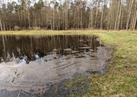 Water sampling – Wiączyń area (commune Nowosolna)