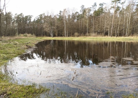 Water sampling – Wiączyń area (commune Nowosolna)