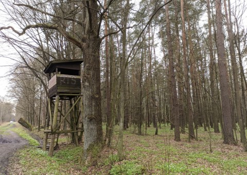 Water sampling – Wiączyń area (commune Nowosolna)