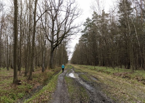 Water sampling – Wiączyń area (commune Nowosolna)