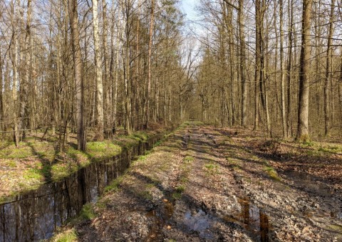 Water sampling – Wiączyń area (commune Nowosolna)