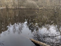 Ustronie area (commune Aleksandrów Łódzki) – water sampling