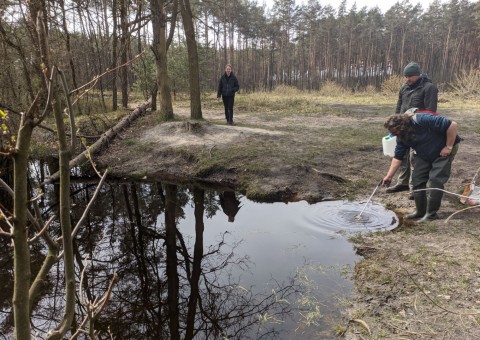 Water sampling – Ustronie area (commune Aleksandrów Łódzki)