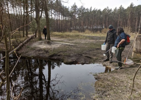 Water sampling – Ustronie area (commune Aleksandrów Łódzki)