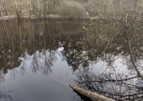 Water sampling – Ustronie area (commune Aleksandrów Łódzki)