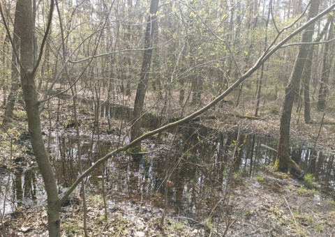 Water sampling – Ustronie area (commune Aleksandrów Łódzki)