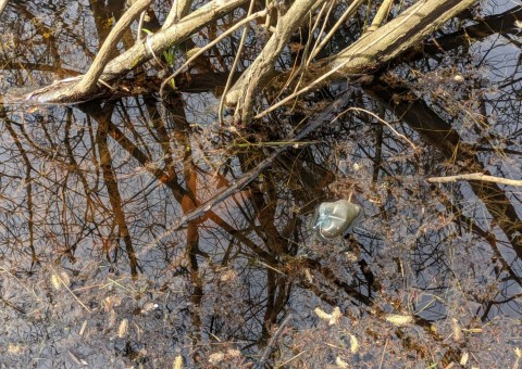 Water sampling – Ustronie area (commune Aleksandrów Łódzki)