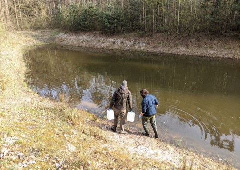 Water sampling – Madaje area (commune Lutomiersk)