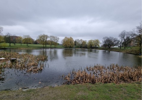 Water sampling – Hovindammen, Oslo