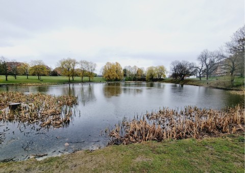 Water sampling – Hovindammen, Oslo