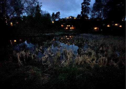 Water sampling – Nesvangen, Oslo