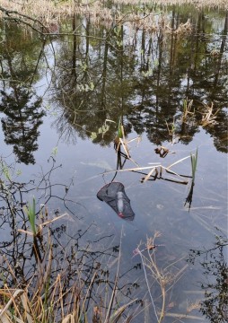 Water sampling – Nesvangen, Oslo