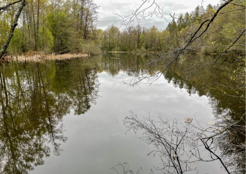 Water sampling – Tjernsrudtjernet, Oslo