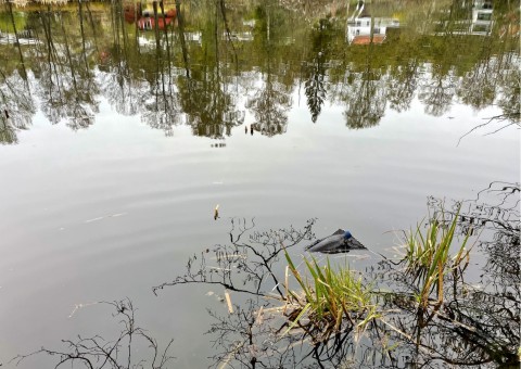 Water sampling – Tjernsrudtjernet, Oslo