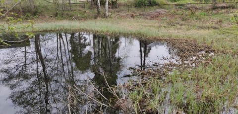 Water sampling – Lindbeckdammen, Oslo