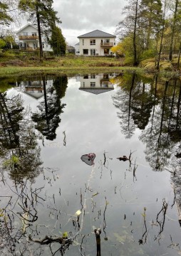 Water sampling – Lindbeckdammen, Oslo