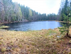 Spring 2021, Sognsvannputten, Oslo – water sampling