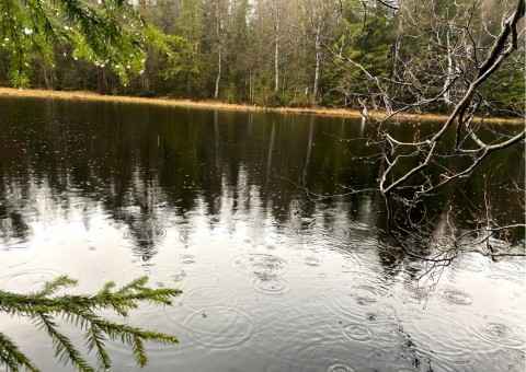 Water sampling – Sognsvannputten, Oslo