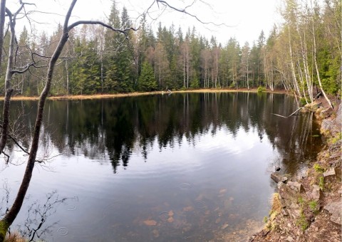 Water sampling – Sognsvannputten, Oslo