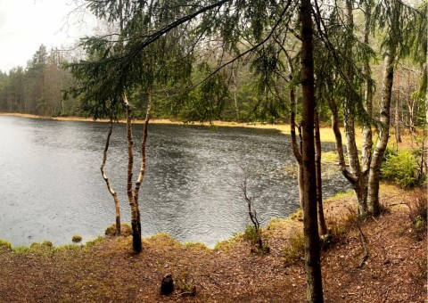 Water sampling – Sognsvannputten, Oslo