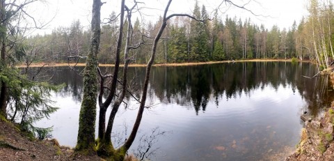 Water sampling – Sognsvannputten, Oslo