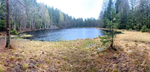Water sampling – Sognsvannputten, Oslo