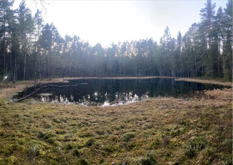 Water sampling – Fjellstadputten, Oslo