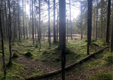 Water sampling – Fjellstadputten, Oslo