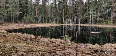 Water sampling – Fjellstadputten, Oslo