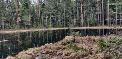 Water sampling – Fjellstadputten, Oslo