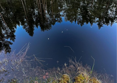 Water sampling – Fjellstadputten, Oslo