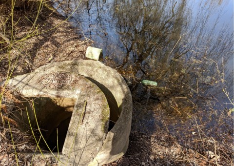 Water sampling – Zakrzówek, Kraków