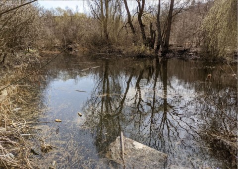 Water sampling – Zakrzówek, Kraków