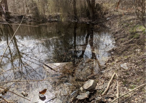 Water sampling – Zakrzówek, Kraków